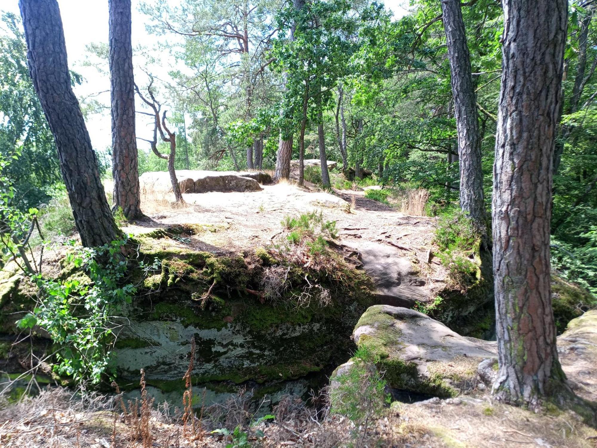 Zimmer Mit Sauna Und Kochgelegenheit Rott Zewnętrze zdjęcie